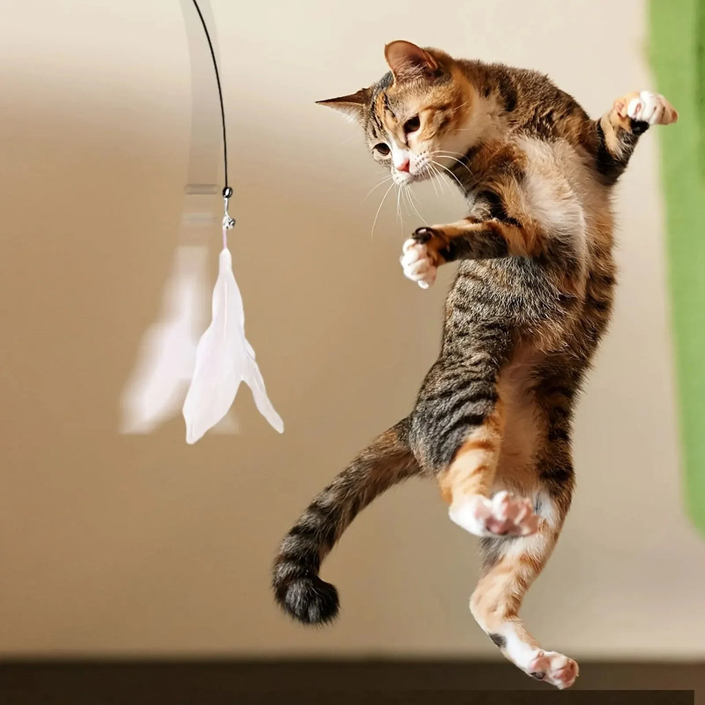 Interactive Cat Teaser Wand – Feather & Bell Toy