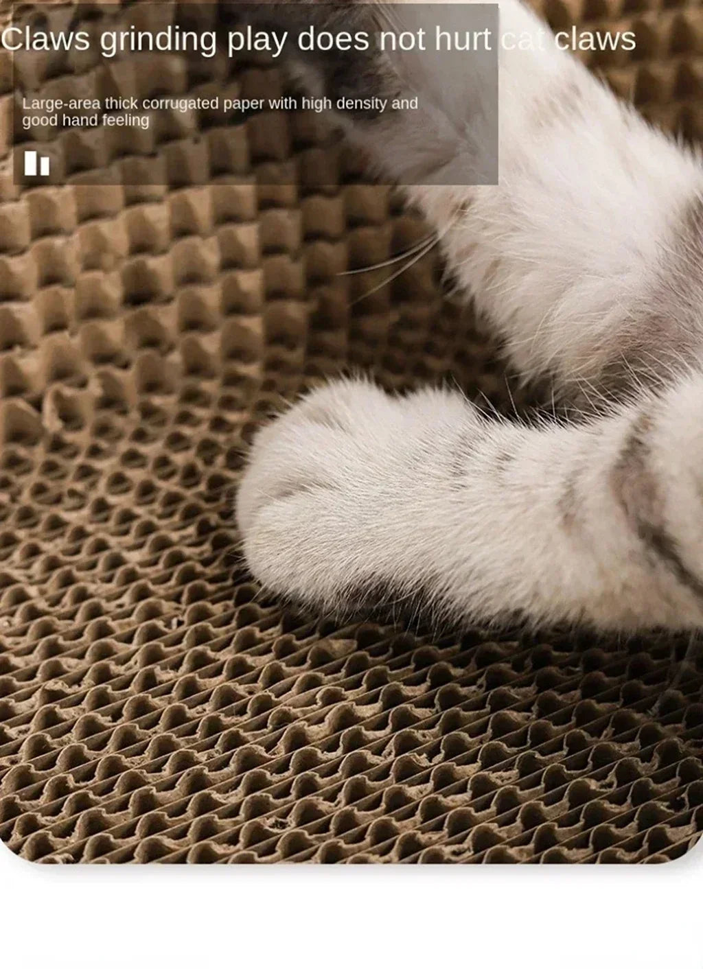 Cozy Oval Cat Scratcher & Lounge Bed
