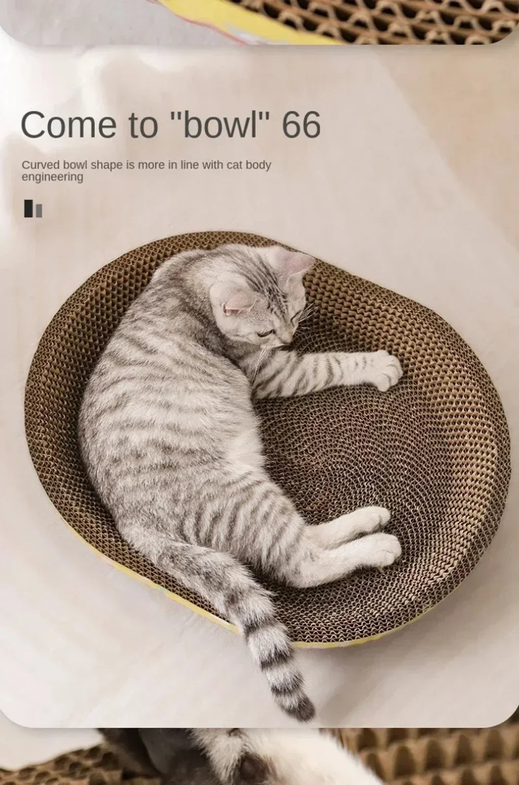 Cozy Oval Cat Scratcher & Lounge Bed