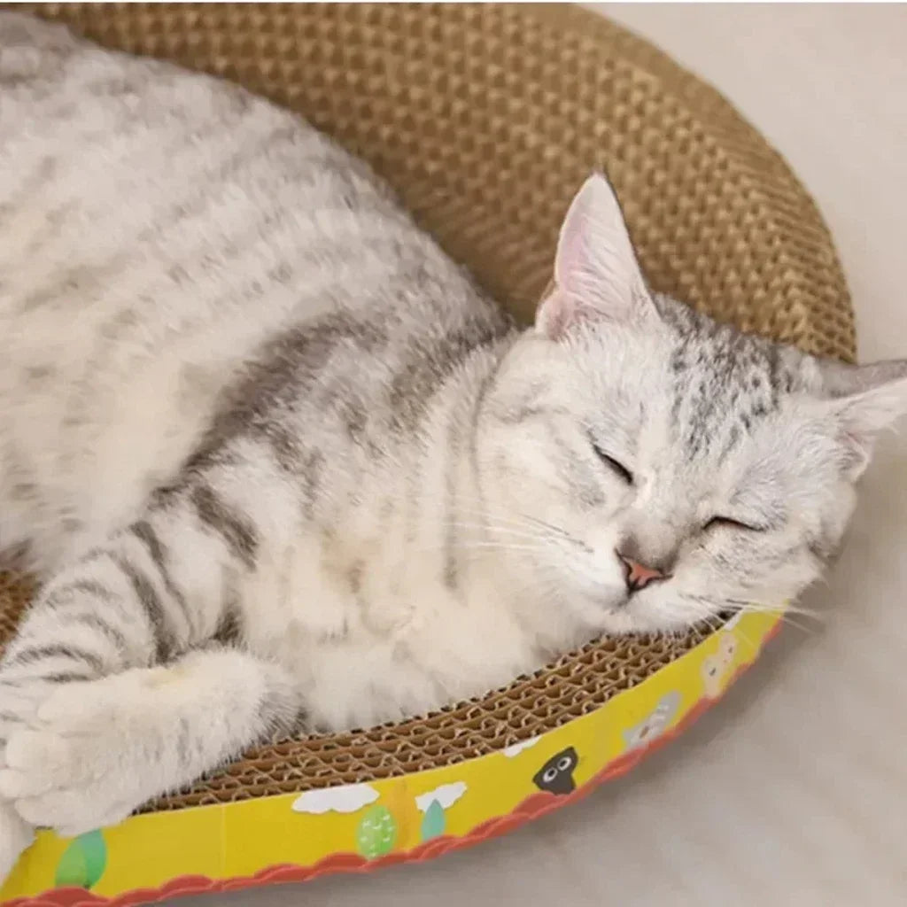 Cozy Oval Cat Scratcher & Lounge Bed