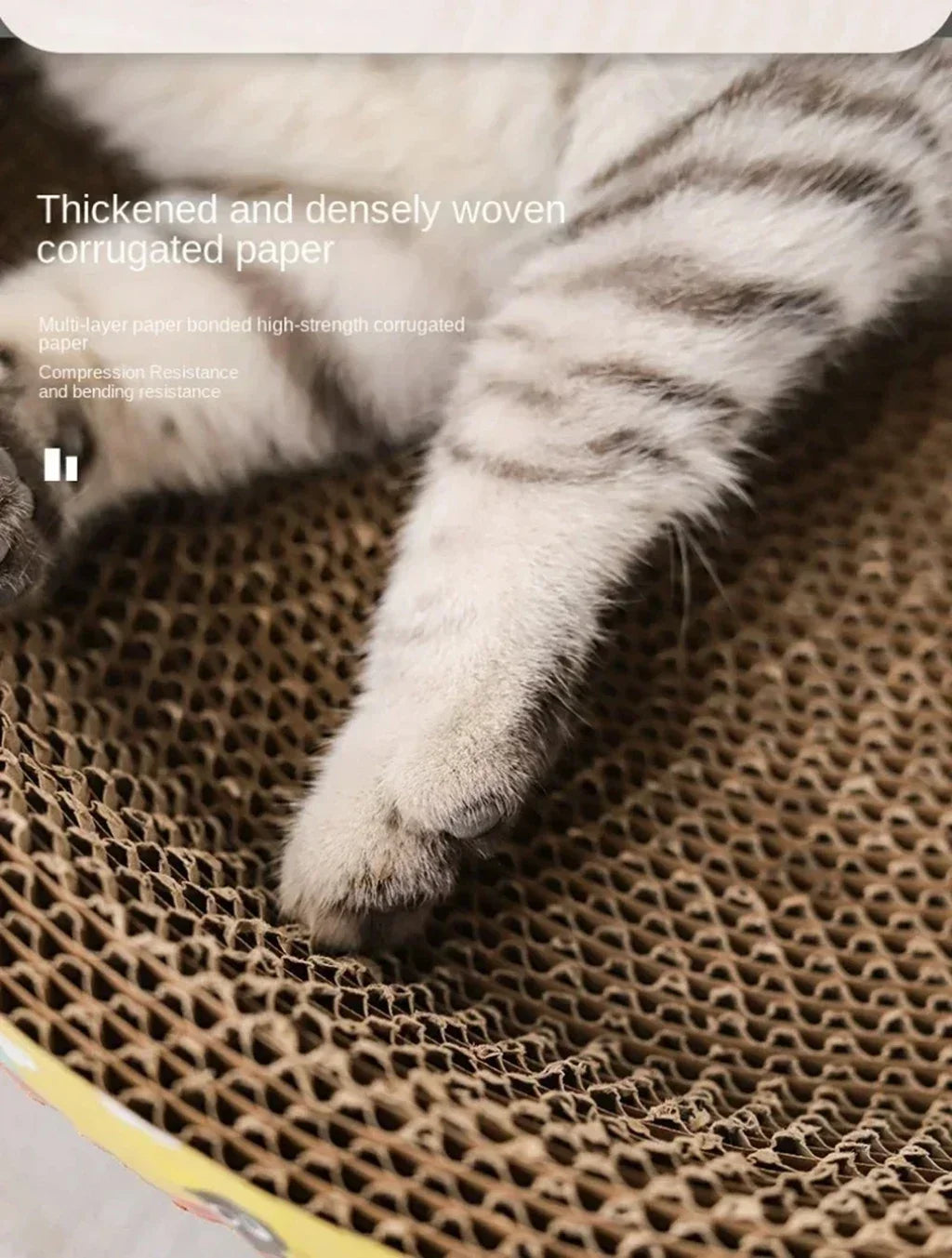 Cozy Oval Cat Scratcher & Lounge Bed